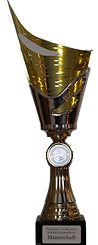 Pokal